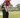 David Leadbetter The A Swing Backswing