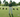 David Leadbetter's Baseball Swing Drill