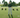 David Leadbetter's Baseball Swing Drill