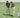 Leadbetter Grip Tips
