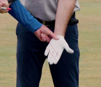 David Leadbetter's Pure Grip