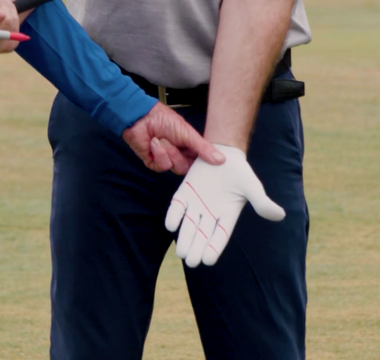 David Leadbetter's Pure Grip