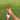 Grip Check Training Grip