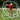 Full Circle PVC Golf Swing Trainer - Golf Swing Training Aid