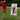 PVC Golf Training Mirror (2'x4') - Full Length Teaching & Training Golf Mirror