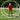 Full Circle PVC Golf Swing Trainer - Golf Swing Training Aid